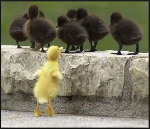 belonging