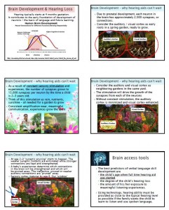 brain dev slide summary